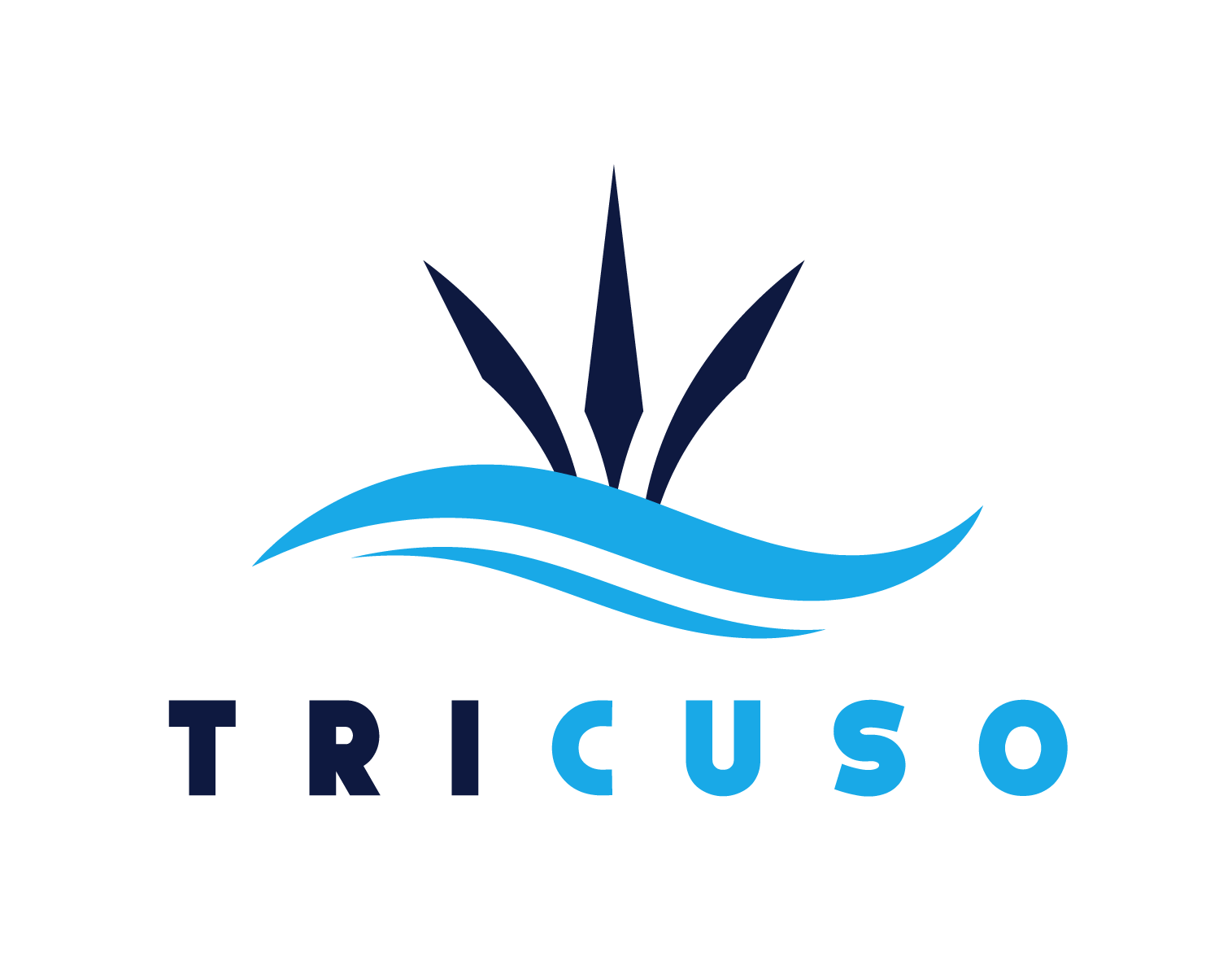 TRICUSO